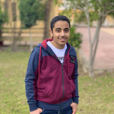 Amr Saad Sweffi